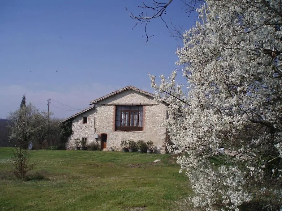 Castelnau-de-Montmiral La Petite Toscane, Gite Familial Avec Piscine Et Jacuzziヴィラ 別荘